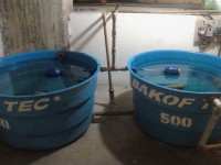 /album/fotos/a120919-161803-jpg/