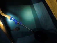 /album/fotos/a121103-175817-jpg/